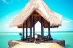 arrival_jetty_33_426