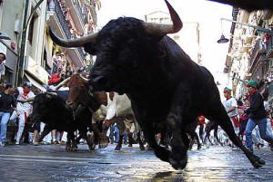 Бег с быками в Испании стал более безопасным