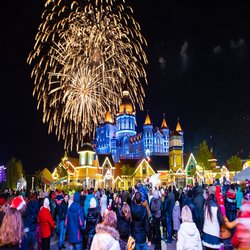 Купить Тур На Новый Год В Сочи